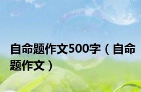 自命题作文500字（自命题作文）