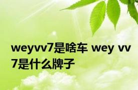 weyvv7是啥车 wey vv7是什么牌子