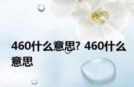 460什么意思? 460什么意思