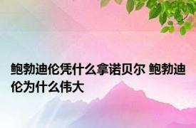 鲍勃迪伦凭什么拿诺贝尔 鲍勃迪伦为什么伟大