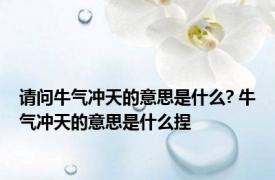 请问牛气冲天的意思是什么? 牛气冲天的意思是什么捏