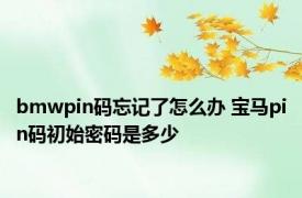 bmwpin码忘记了怎么办 宝马pin码初始密码是多少