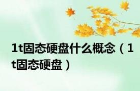 1t固态硬盘什么概念（1t固态硬盘）