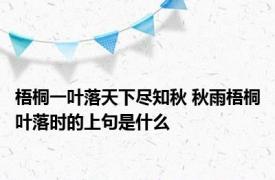 梧桐一叶落天下尽知秋 秋雨梧桐叶落时的上句是什么