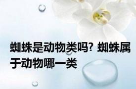 蜘蛛是动物类吗? 蜘蛛属于动物哪一类