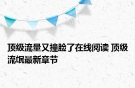 顶级流量又撞脸了在线阅读 顶级流氓最新章节 