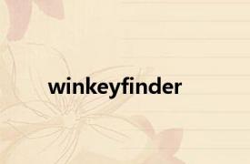 winkeyfinder