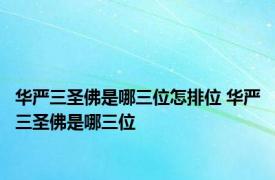 华严三圣佛是哪三位怎排位 华严三圣佛是哪三位