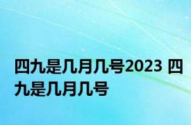 四九是几月几号2023 四九是几月几号