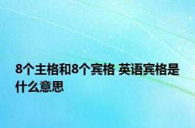 8个主格和8个宾格 英语宾格是什么意思