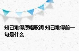 知己难得原唱歌词 知己难得前一句是什么