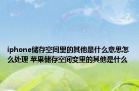 iphone储存空间里的其他是什么意思怎么处理 苹果储存空间变里的其他是什么