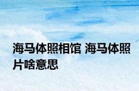 海马体照相馆 海马体照片啥意思