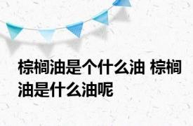 棕榈油是个什么油 棕榈油是什么油呢