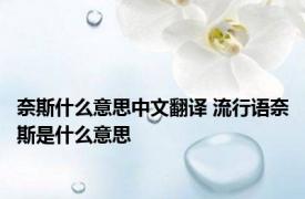 奈斯什么意思中文翻译 流行语奈斯是什么意思