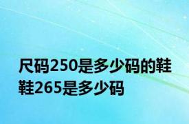 尺码250是多少码的鞋 鞋265是多少码