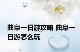 曲阜一日游攻略 曲阜一日游怎么玩