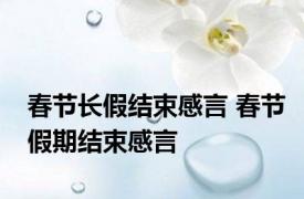 春节长假结束感言 春节假期结束感言