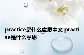 practice是什么意思中文 practise是什么意思