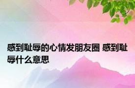 感到耻辱的心情发朋友圈 感到耻辱什么意思