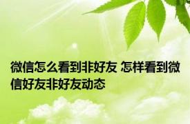 微信怎么看到非好友 怎样看到微信好友非好友动态