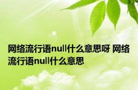 网络流行语null什么意思呀 网络流行语null什么意思