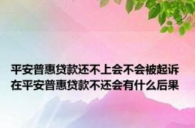 平安普惠贷款还不上会不会被起诉 在平安普惠贷款不还会有什么后果