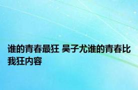 谁的青春最狂 吴子尤谁的青春比我狂内容