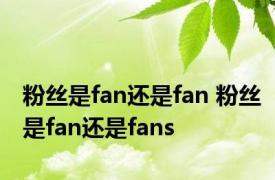 粉丝是fan还是fan 粉丝是fan还是fans