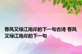 春风又绿江南岸的下一句古诗 春风又绿江南岸的下一句 