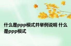 什么是ppp模式并举例说明 什么是ppp模式