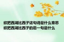 欲把西湖比西子这句诗是什么意思 欲把西湖比西子的后一句是什么