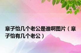 章子怡几个老公是谁啊图片（章子怡有几个老公）