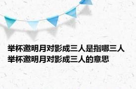 举杯邀明月对影成三人是指哪三人 举杯邀明月对影成三人的意思