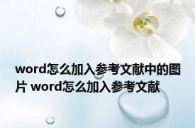 word怎么加入参考文献中的图片 word怎么加入参考文献