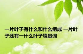 一片叶子有什么和什么组成 一片叶子还有一什么叶子填量词