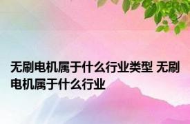 无刷电机属于什么行业类型 无刷电机属于什么行业