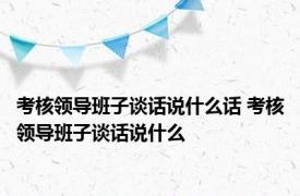 考核领导班子谈话说什么话 考核领导班子谈话说什么