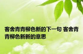 客舍青青柳色新的下一句 客舍青青柳色新新的意思