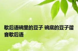 歇后语碗里的豆子 碗底的豆子谐音歇后语