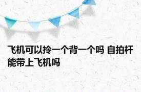 飞机可以拎一个背一个吗 自拍杆能带上飞机吗