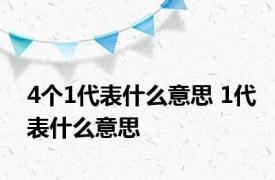 4个1代表什么意思 1代表什么意思