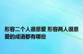 形容二个人很恩爱 形容两人很恩爱的成语都有哪些