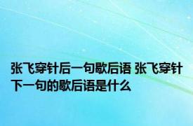 张飞穿针后一句歇后语 张飞穿针下一句的歇后语是什么