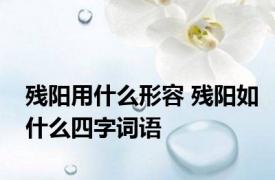 残阳用什么形容 残阳如什么四字词语