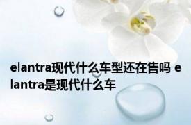 elantra现代什么车型还在售吗 elantra是现代什么车