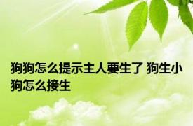 狗狗怎么提示主人要生了 狗生小狗怎么接生