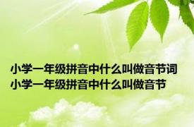 小学一年级拼音中什么叫做音节词 小学一年级拼音中什么叫做音节