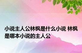 小说主人公林枫是什么小说 林枫是哪本小说的主人公