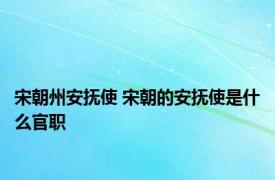 宋朝州安抚使 宋朝的安抚使是什么官职